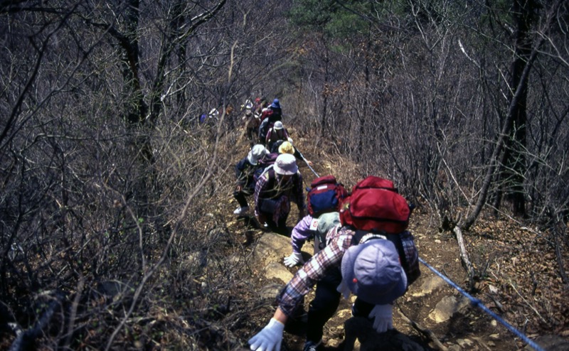 高川山